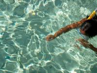 bora bora snorkeling 6 